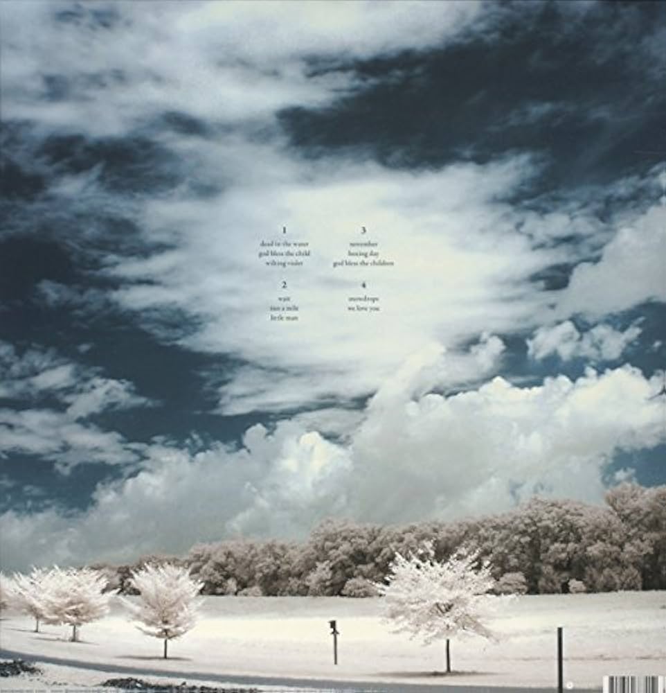 欧2discs LP Pineapple Thief Little Man 1044 Kscope /00520 Amazon.com: Little Man: CDs & Vinyl